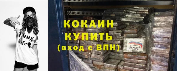 крисы Пересвет
